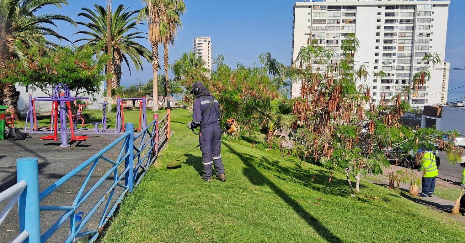 IMI focaliza mantención de áreas verdes en bandejones centrales y plazas